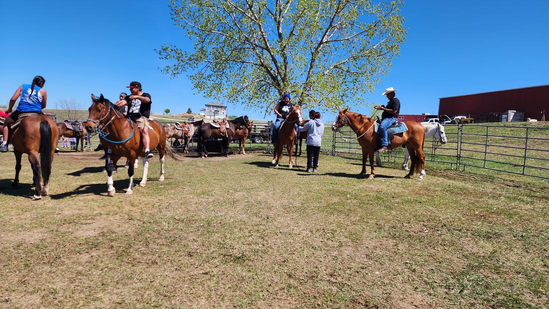 Horse Camp